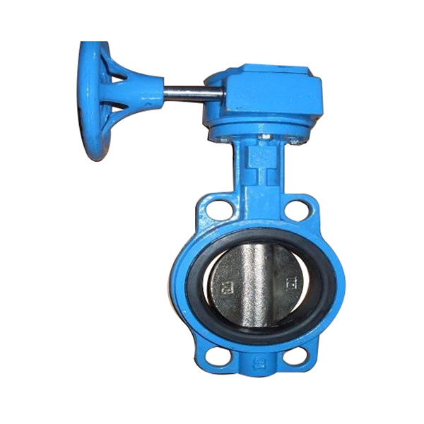 Cast iron centerline butterfly valve R