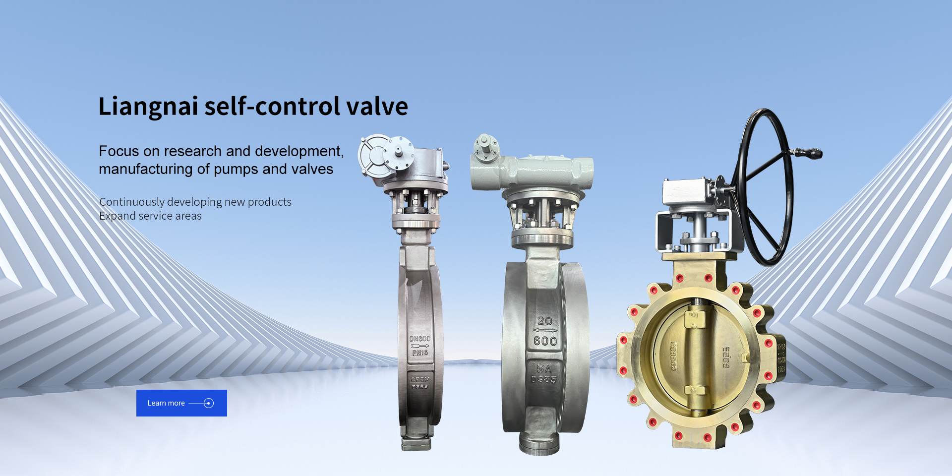 Butterfly Valve